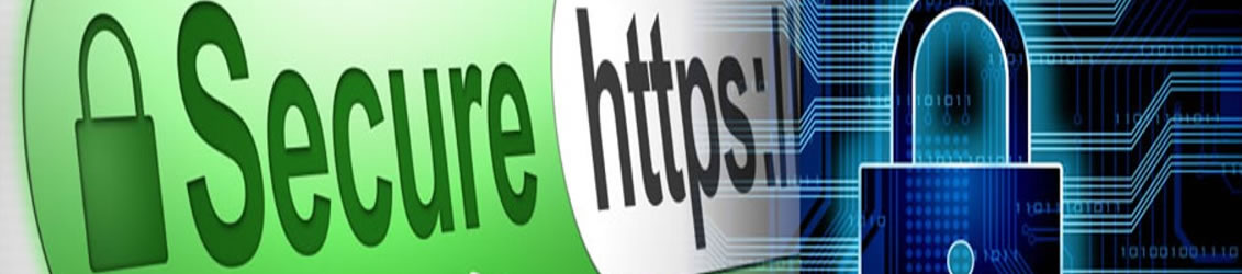 long island web design